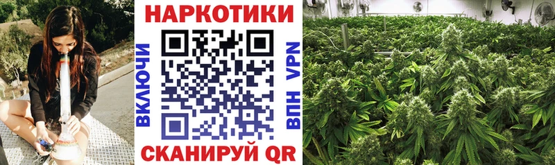 Купить закладку Бошки Шишки  Мефедрон  Кокаин  A PVP  Псилоцибиновые грибы  ГАШ  АМФ  Лыткарино
