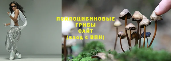 прущие грибы Карпинск