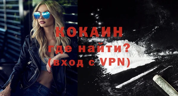 прущие грибы Карпинск