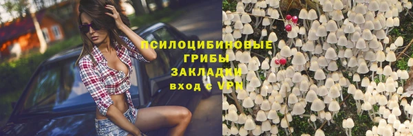 крисы Карталы