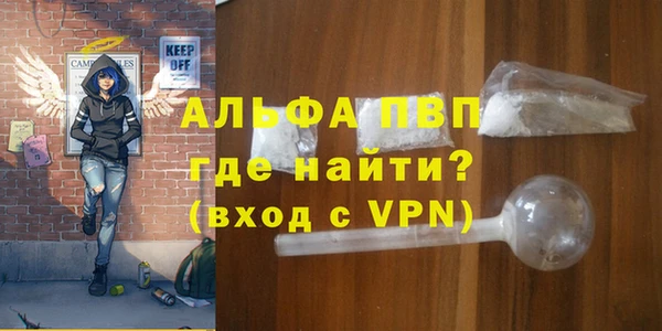 прущие грибы Карпинск