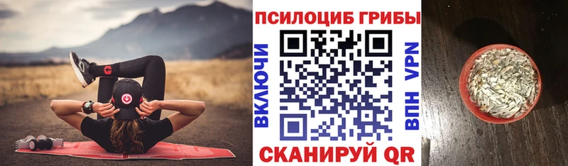 Купить  Лыткарино  Галлюциногенные грибы Magic Shrooms 